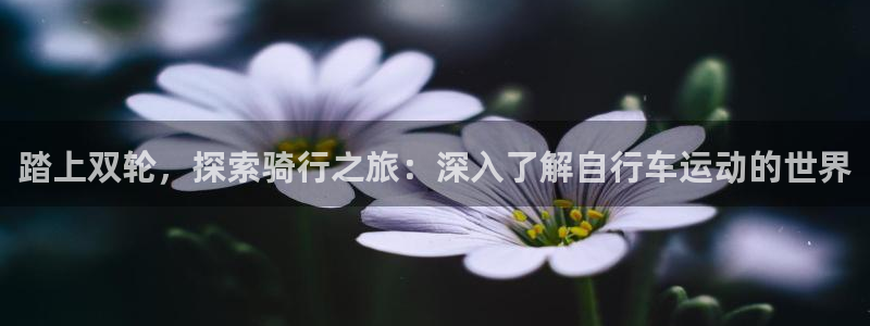 z6com尊龙凯时|踏上双轮,探索骑行之旅:深入了解自行车运动的世界(图1) z6com尊龙凯时