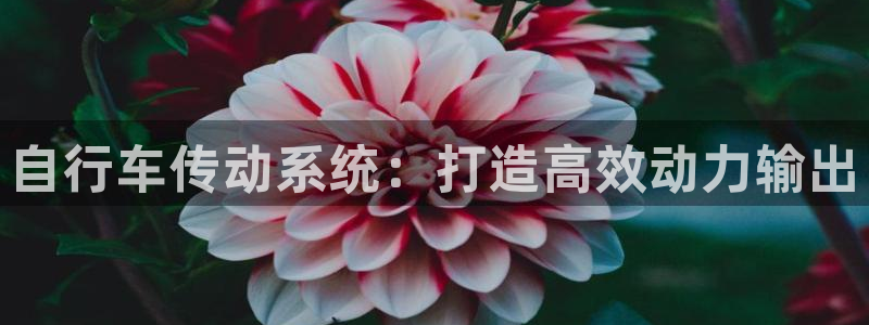 尊龙凯时人生就是搏!官网|自行车传动系统:打造高效动力输出(图1) 尊龙凯时人生就是搏!官网