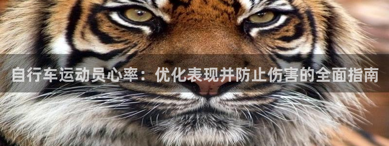 尊龙凯时z6com|自行车运动员心率:优化表现并防止伤害的全面指南(图1) 尊龙凯时z6com