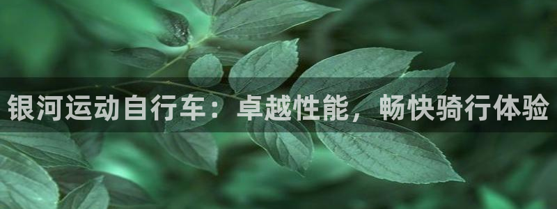 尊龙凯时公司官网|银河运动自行车:卓越性能,畅快骑行体验(图1) 尊龙凯时公司官网
