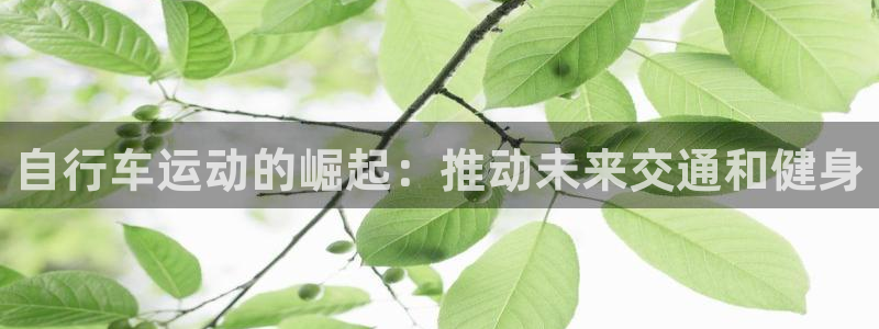 尊龙凯时人生就是博|自行车运动的崛起:推动未来交通和健身(图1) 尊龙凯时人生就是博
