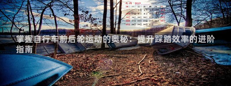 尊龙凯时ag旗舰厅官网客服|掌握自行车前后轮运动的奥秘:提升踩踏效率的进阶
指南(图1) 尊龙凯时ag旗舰厅官网客服