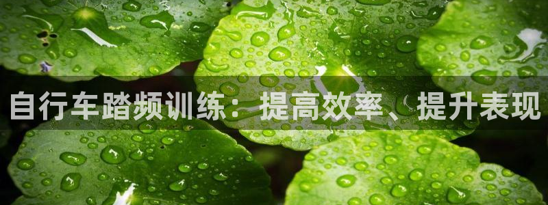 尊龙凯时公司官网|自行车踏频训练:提高效率、提升表现(图1) 尊龙凯时公司官网