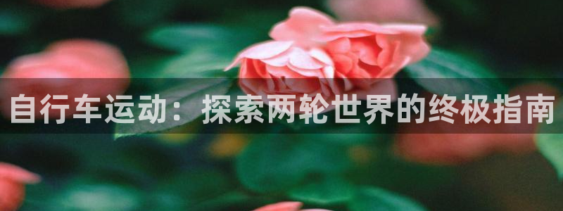 z6尊龙官方网站|自行车运动:探索两轮世界的终极指南(图1) z6尊龙官方网站