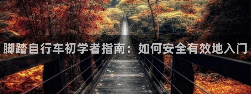 尊龙凯时ag旗舰厅|脚踏自行车初学者指南:如何安全有效地入门(图1) 尊龙凯时ag旗舰厅