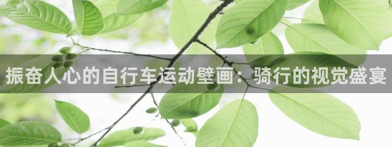 z6com尊龙凯时|振奋人心的自行车运动壁画:骑行的视觉盛宴(图1) z6com尊龙凯时