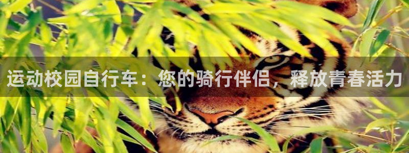 尊龙凯时平台怎么样|运动校园自行车:您的骑行伴侣,释放青春活力(图1) 尊龙凯时平台怎么样