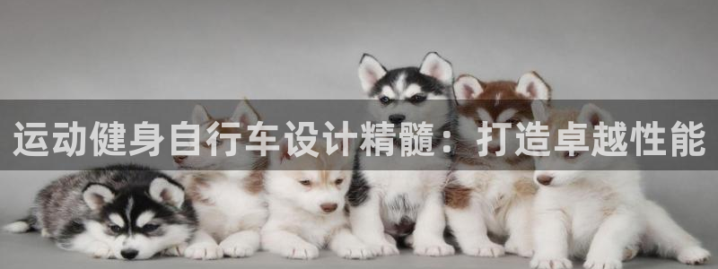 尊龙凯时app官方网站|运动健身自行车设计精髓:打造卓越性能(图1) 尊龙凯时app官方网站