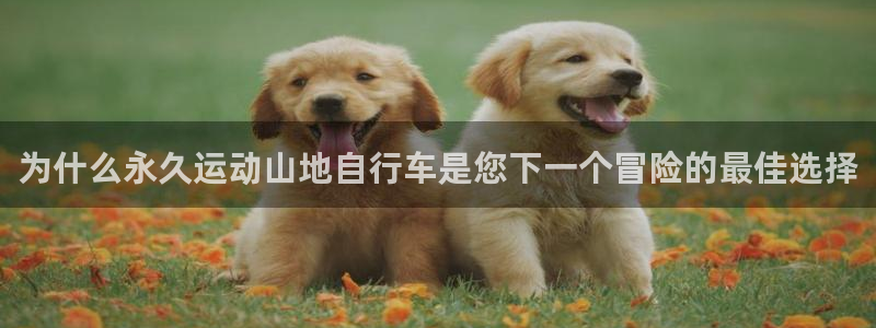 尊龙d88|为什么永久运动山地自行车是您下一个冒险的最佳选择(图1) 尊龙d88