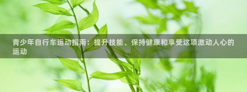 凯时尊龙登录入口|青少年自行车运动指南:提升技能、保持健康和享受这项激动人心的
运动(图1) 凯时尊龙登录入口