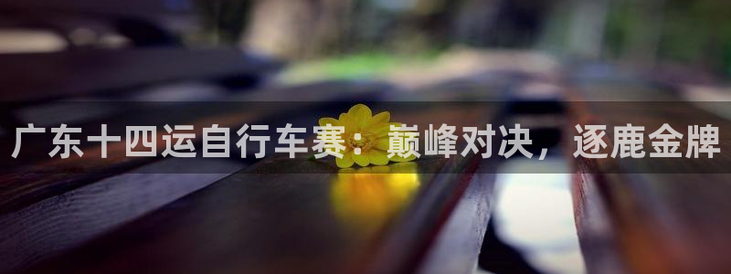 尊龙凯时-人生就是搏|广东十四运自行车赛:巅峰对决,逐鹿金牌(图1) 尊龙凯时-人生就是搏