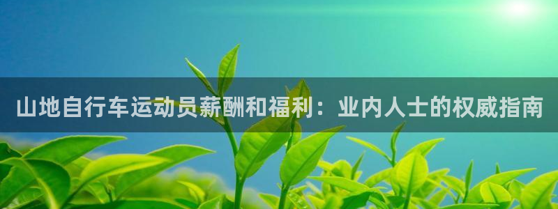 尊龙凯时人生就是博!|山地自行车运动员薪酬和福利:业内人士的权威指南(图1) 尊龙凯时人生就是博!