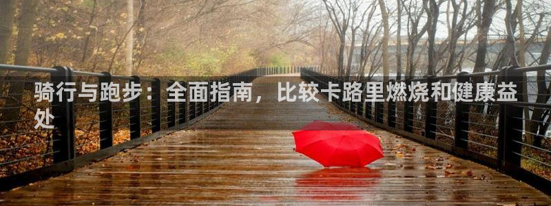 骑行与跑步:全面指南,比较卡路里燃烧和健康益
处(图1) 骑行与跑步:全面指南,比较卡路里燃烧和健康益
处(图1)