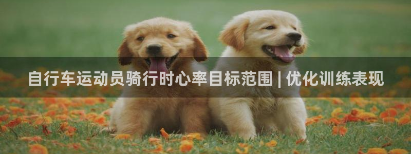 自行车运动员骑行时心率目标范围 | 优化训练表现(图1) 自行车运动员骑行时心率目标范围 | 优化训练表现(图1)