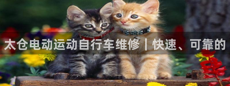 尊龙凯时 - 人生就是搏|太仓电动运动自行车维修|快速、可靠的(图1) 尊龙凯时 - 人生就是搏