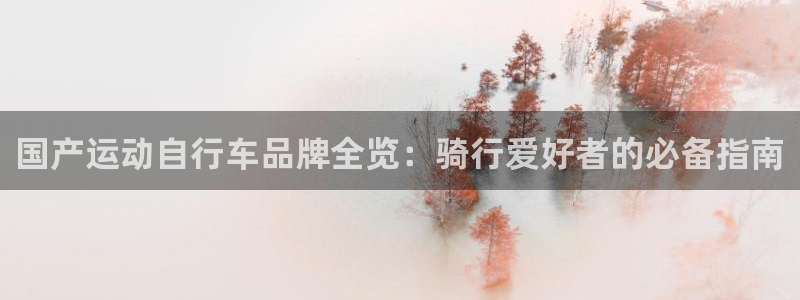 尊龙凯时怎么样|国产运动自行车品牌全览:骑行爱好者的必备指南(图1) 尊龙凯时怎么样
