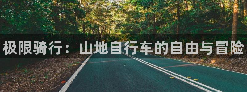 尊龙凯时官网|极限骑行:山地自行车的自由与冒险(图1) 尊龙凯时官网