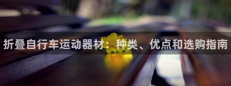 ag尊龙凯时-人生就是博|折叠自行车运动器材:种类、优点和选购指南(图1) ag尊龙凯时-人生就是博