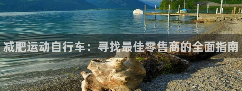 尊龙凯时app官方网站|减肥运动自行车:寻找最佳零售商的全面指南(图1) 尊龙凯时app官方网站