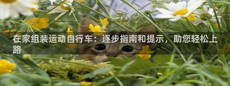 尊龙凯时z6com|在家组装运动自行车:逐步指南和提示,助您轻松上
路(图1) 尊龙凯时z6com