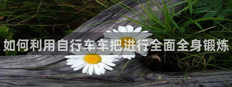 尊龙凯时平台|如何利用自行车车把进行全面全身锻炼(图1) 尊龙凯时平台