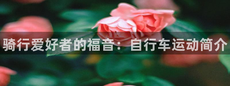 尊龙凯时首页|骑行爱好者的福音:自行车运动简介(图1) 尊龙凯时首页