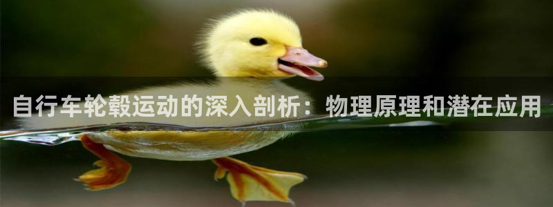 z6尊龙官方网站|自行车轮毂运动的深入剖析:物理原理和潜在应用(图1) z6尊龙官方网站
