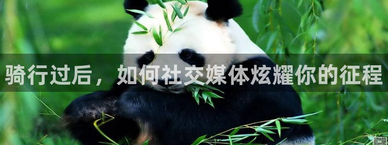 尊龙凯时 - 人生就是搏!|骑行过后,如何社交媒体炫耀你的征程(图1) 尊龙凯时 - 人生就是搏!