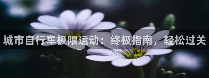 尊龙凯时官网网址|城市自行车极限运动:终极指南,轻松过关(图1) 尊龙凯时官网网址