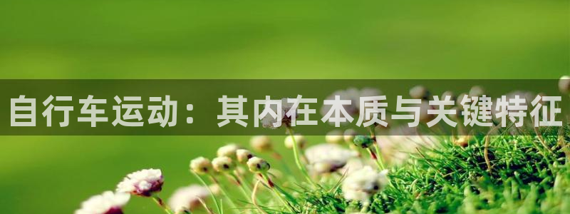 尊龙是哪里人|自行车运动:其内在本质与关键特征(图1) 尊龙是哪里人